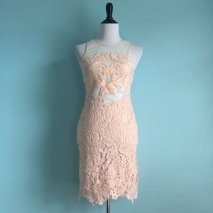 A.Peach Sheer Lace Blush Backless Sleeveless Dress